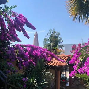 Apartmán Ana Chorvatsko